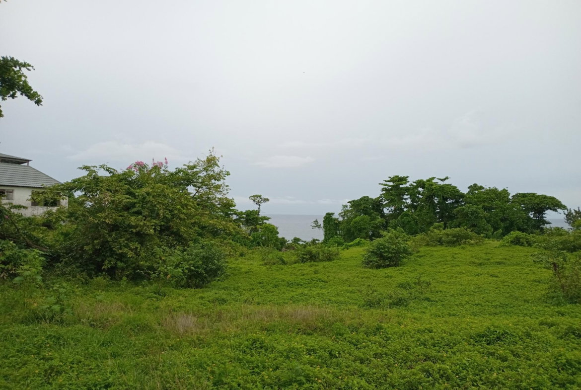 Eighth image of Snow Hill- Passley Gardens in Passley Garden, Portland, Jamaica - property is For Sale