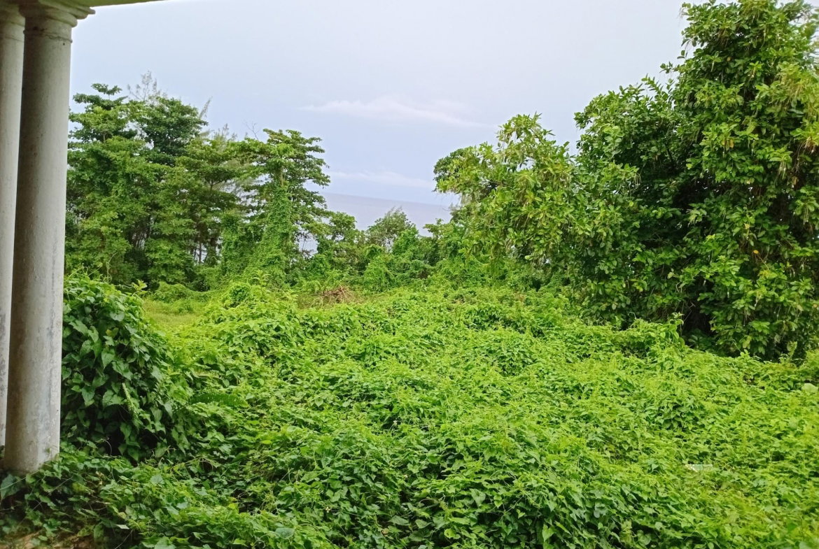 Tenth image of Snow Hill- Passley Gardens in Passley Garden, Portland, Jamaica - property is For Sale