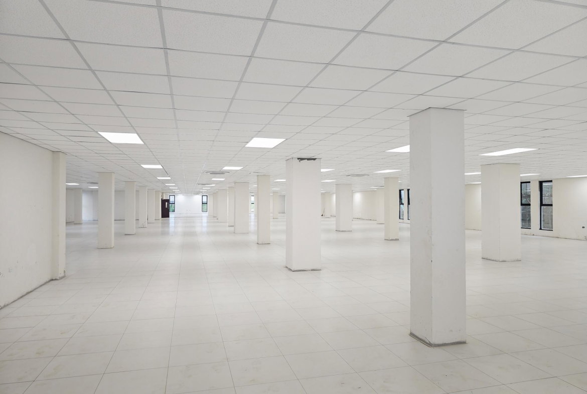 Fourth image of Lot 1 Bloomfield in Mandeville, Manchester, Jamaica - property is For Rent