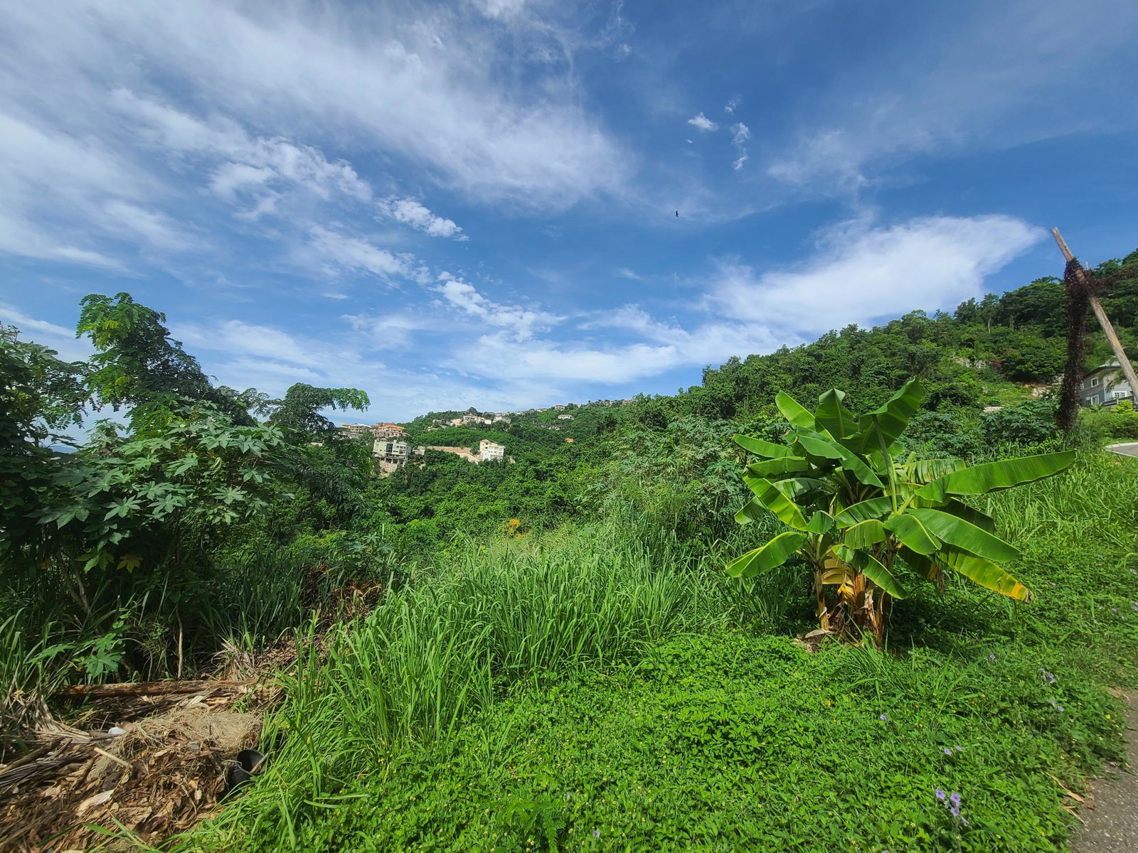 Fifth image of Belgrade in Kingston 19, St. Andrew, Jamaica - property is For Sale
