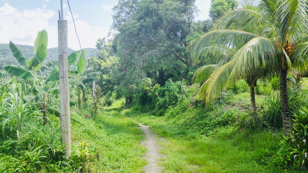 Second image of Kendal Green Island Han in Green Island, Hanover, Jamaica - property is For Sale