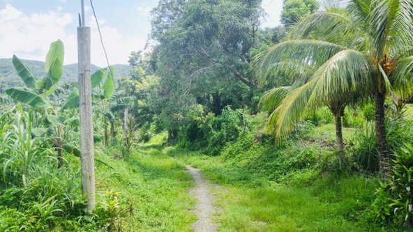 Second image of Kendal Green Island Han in Green Island, Hanover, Jamaica - property is For Sale