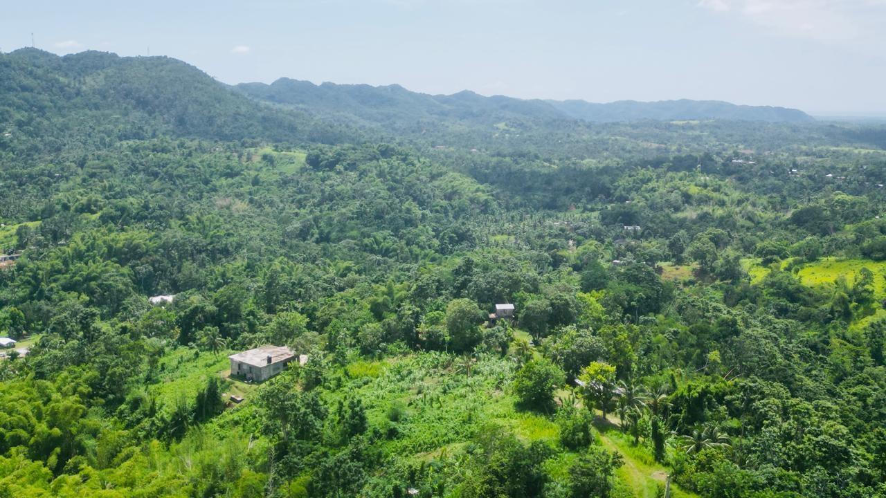 Twelfth image of Kendal Green Island Han in Green Island, Hanover, Jamaica - property is For Sale