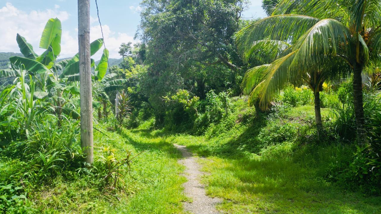 Thirteenth image of Kendal Green Island Han in Green Island, Hanover, Jamaica - property is For Sale