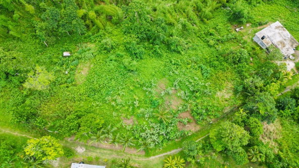 Sixteenth image of Kendal Green Island Han in Green Island, Hanover, Jamaica - property is For Sale