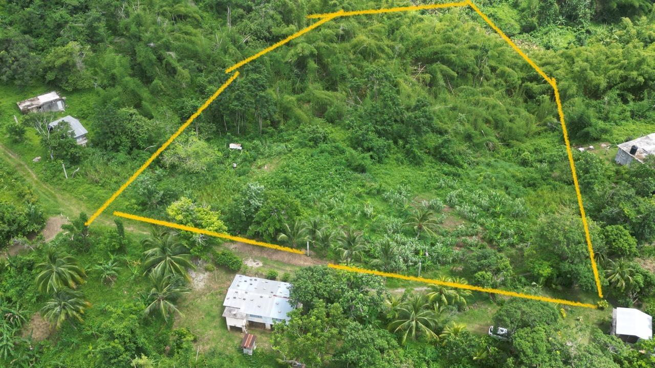 Seventeenth image of Kendal Green Island Han in Green Island, Hanover, Jamaica - property is For Sale