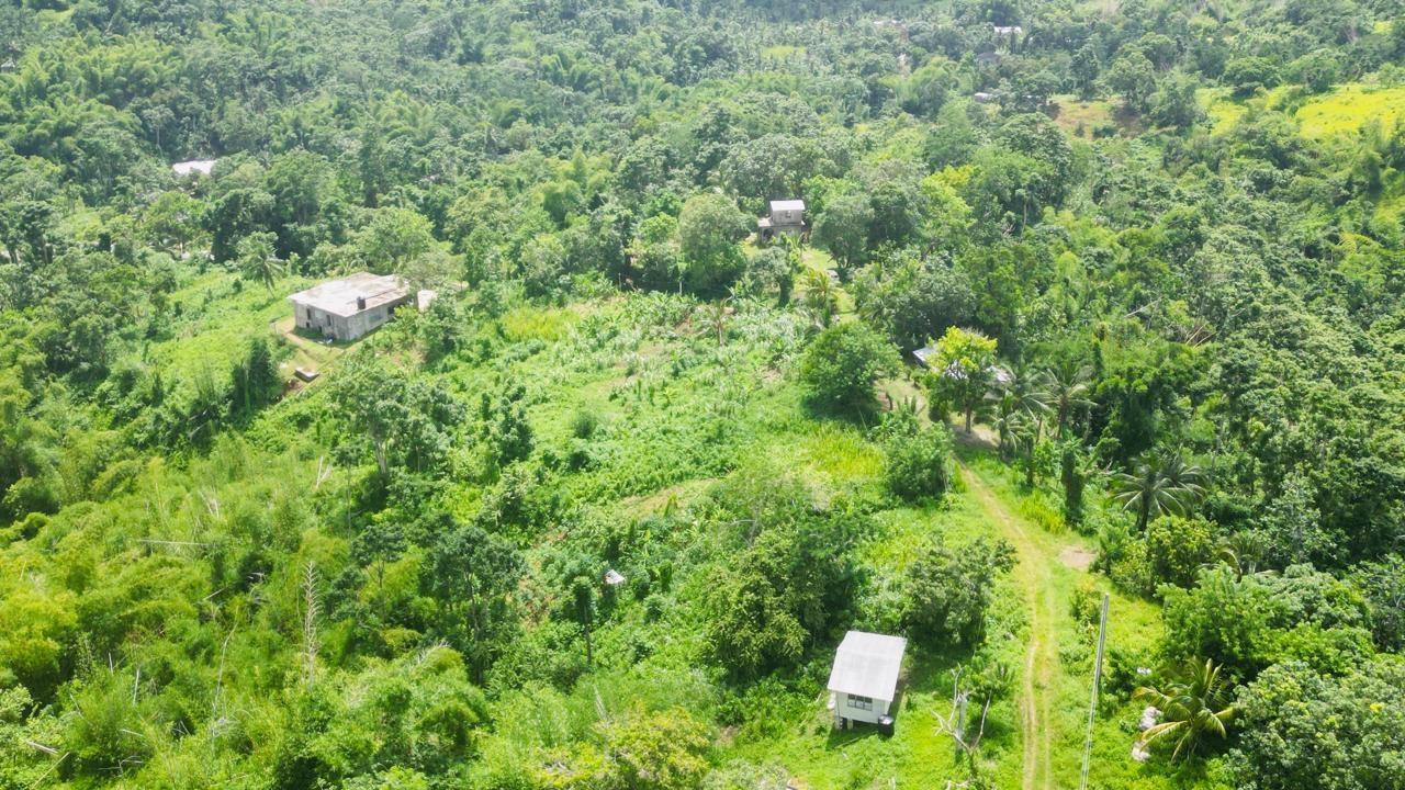 Eighteenth image of Kendal Green Island Han in Green Island, Hanover, Jamaica - property is For Sale