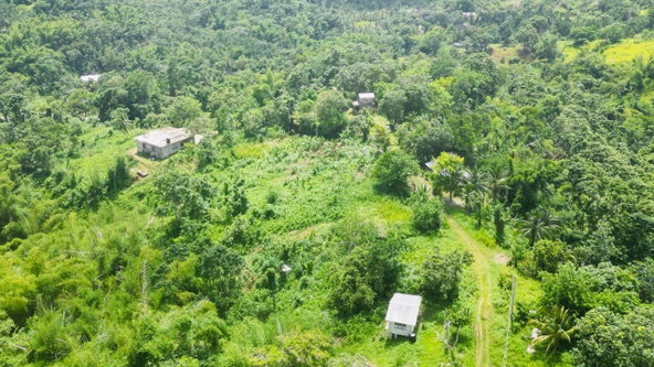 Eighteenth image of Kendal Green Island Han in Green Island, Hanover, Jamaica - property is For Sale