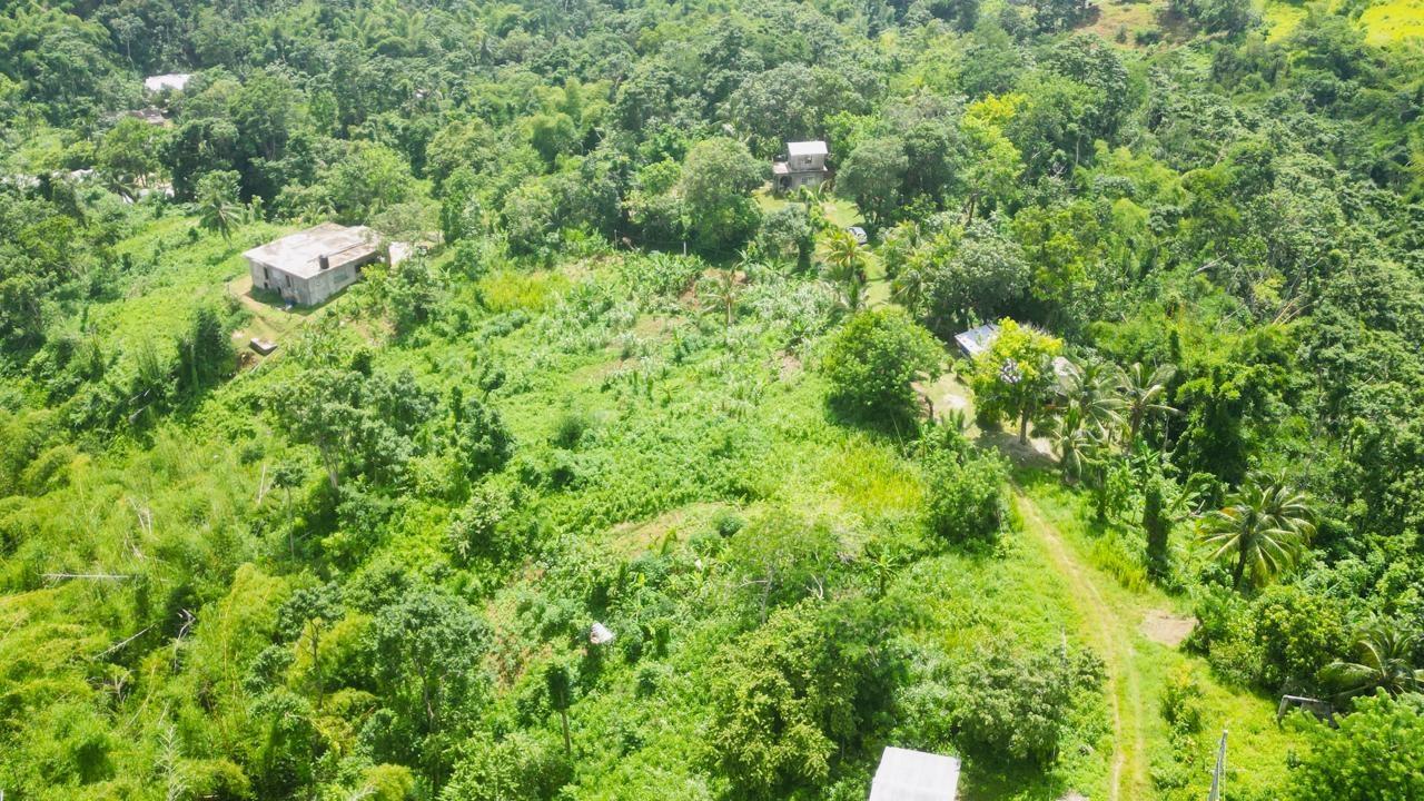 Nineteenth image of Kendal Green Island Han in Green Island, Hanover, Jamaica - property is For Sale