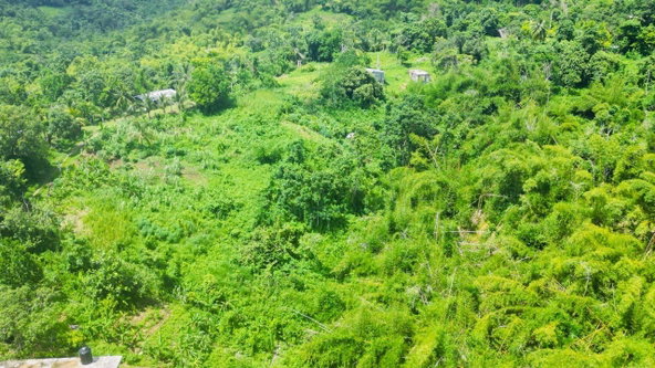 Twentieth image of Kendal Green Island Han in Green Island, Hanover, Jamaica - property is For Sale