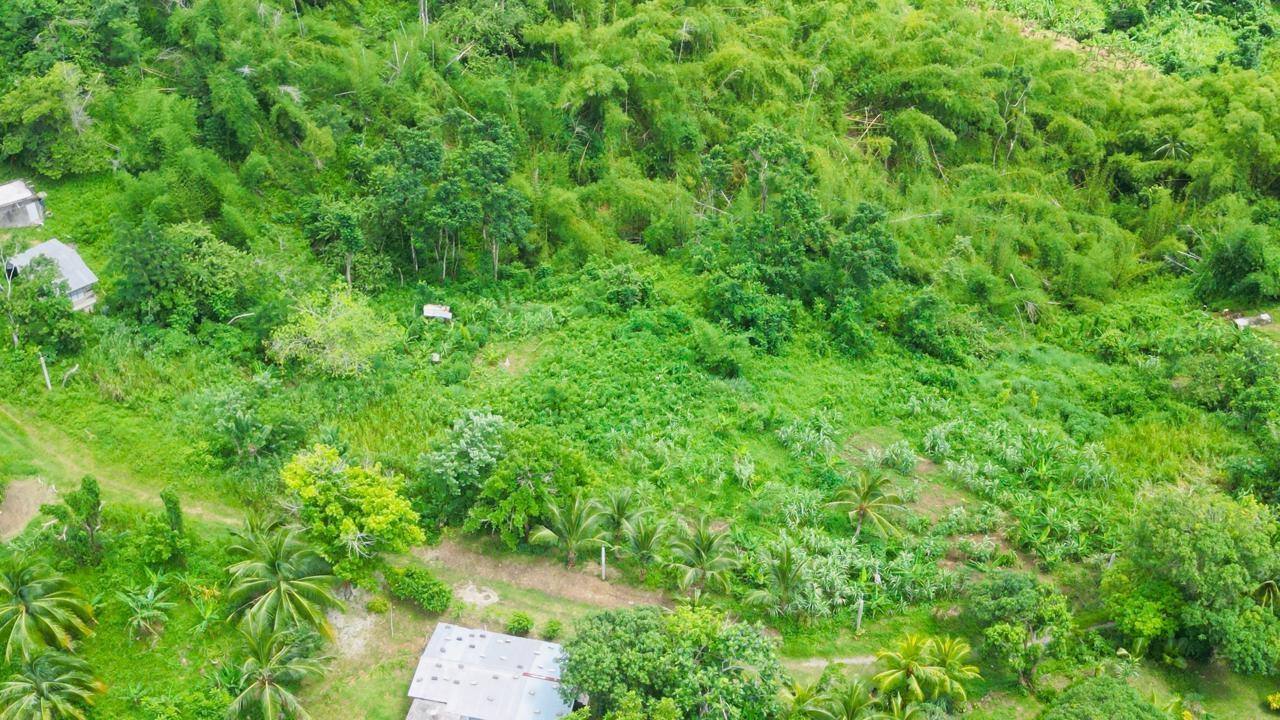 Fourth image of Kendal Green Island Han in Green Island, Hanover, Jamaica - property is For Sale