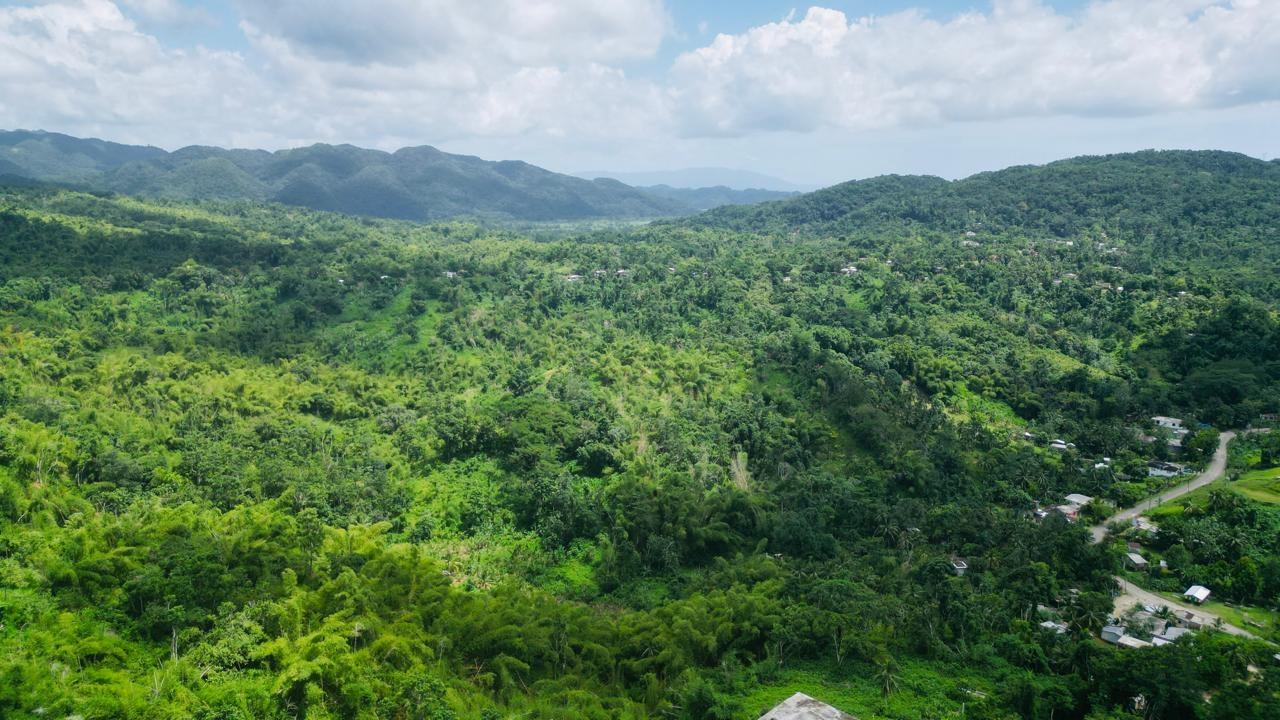 Fifth image of Kendal Green Island Han in Green Island, Hanover, Jamaica - property is For Sale