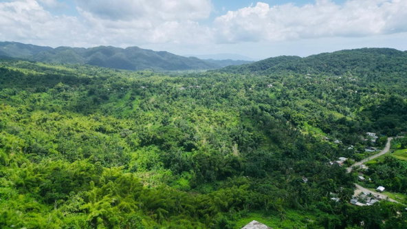 Fifth image of Kendal Green Island Han in Green Island, Hanover, Jamaica - property is For Sale