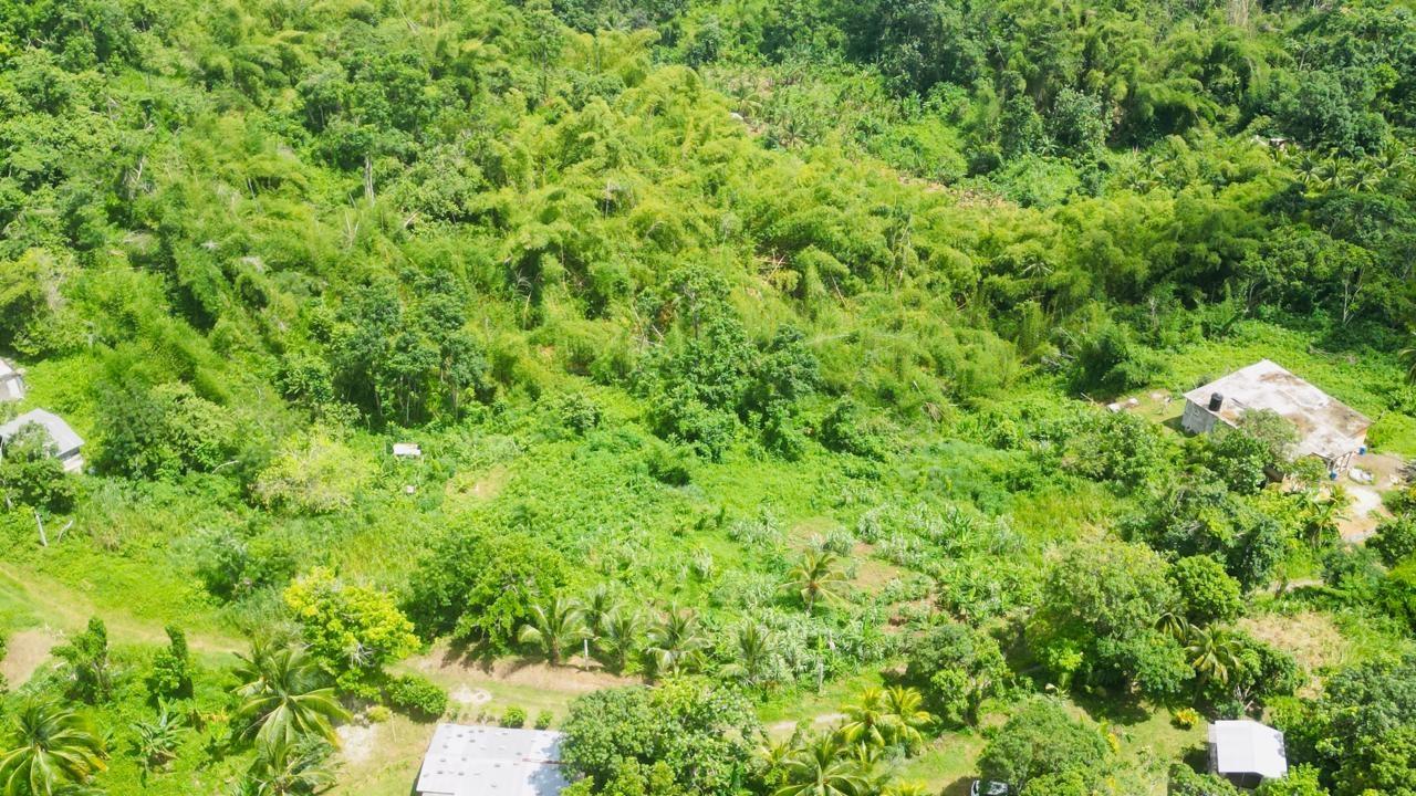 Sixth image of Kendal Green Island Han in Green Island, Hanover, Jamaica - property is For Sale