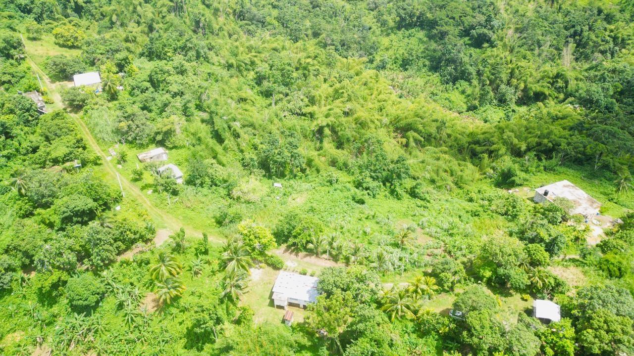 Seventh image of Kendal Green Island Han in Green Island, Hanover, Jamaica - property is For Sale