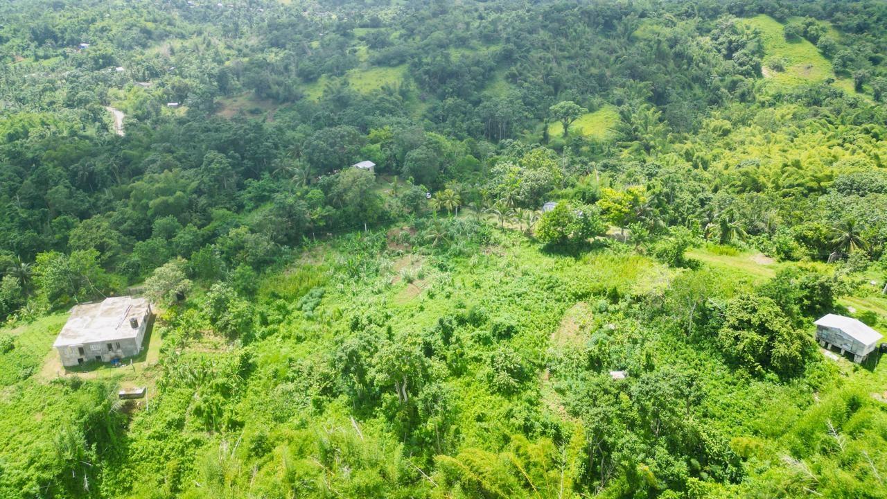 Eighth image of Kendal Green Island Han in Green Island, Hanover, Jamaica - property is For Sale