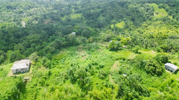 Eighth image of Kendal Green Island Han in Green Island, Hanover, Jamaica - property is For Sale