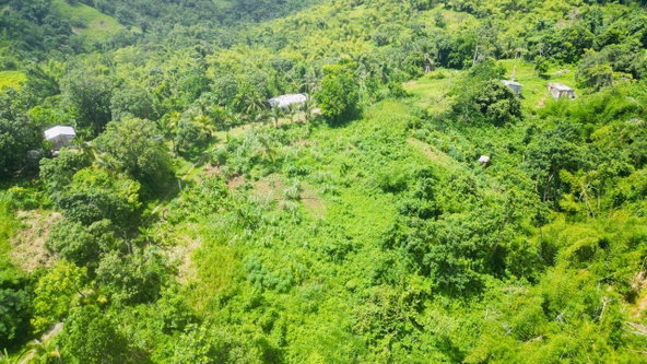Ninth image of Kendal Green Island Han in Green Island, Hanover, Jamaica - property is For Sale