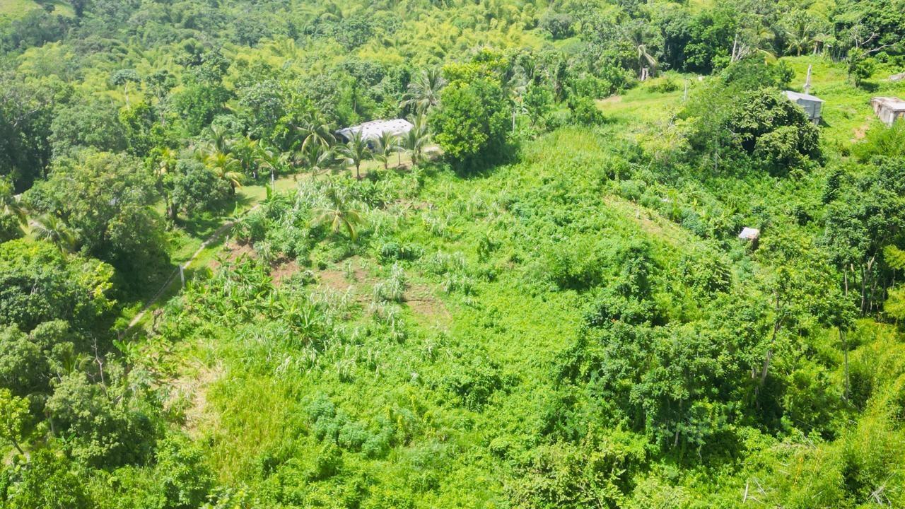 Tenth image of Kendal Green Island Han in Green Island, Hanover, Jamaica - property is For Sale
