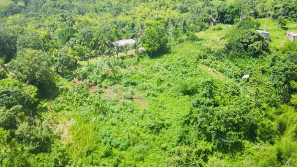 Tenth image of Kendal Green Island Han in Green Island, Hanover, Jamaica - property is For Sale
