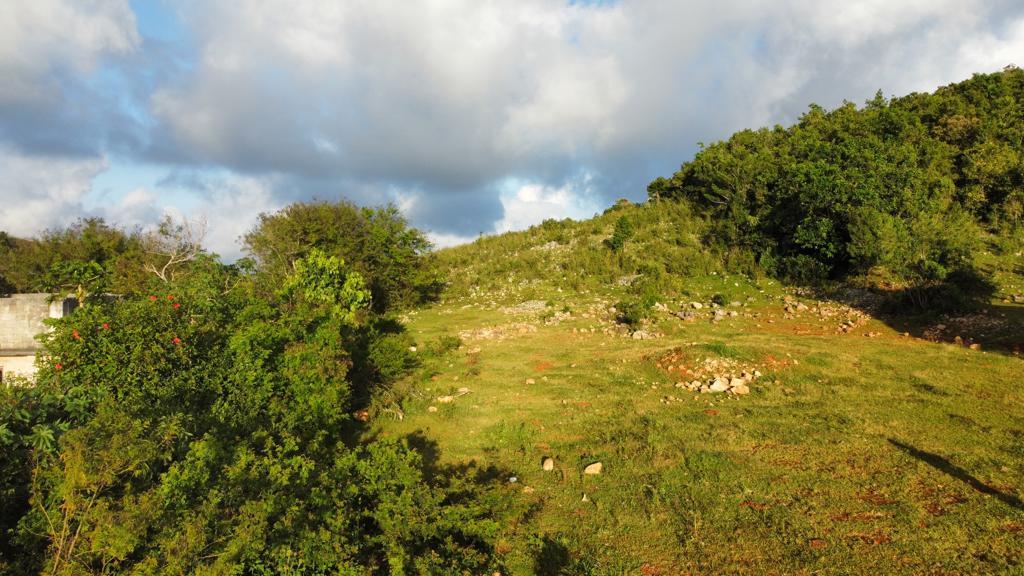 Twelfth image of Lincoln, Mount Prospect in Lincoln, Manchester, Jamaica - property is For Sale