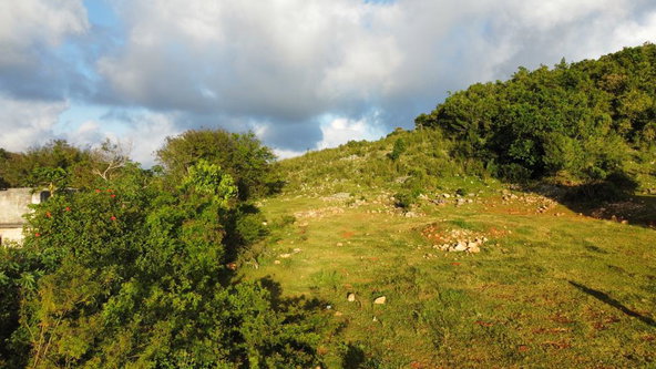 Twelfth image of Lincoln, Mount Prospect in Lincoln, Manchester, Jamaica - property is For Sale