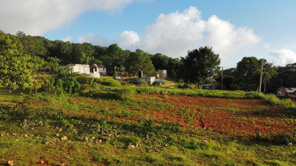Thirteenth image of Lincoln, Mount Prospect in Lincoln, Manchester, Jamaica - property is For Sale
