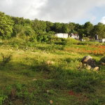 First image of Lincoln, Mount Prospect in Lincoln, Manchester, Jamaica - property is For Sale