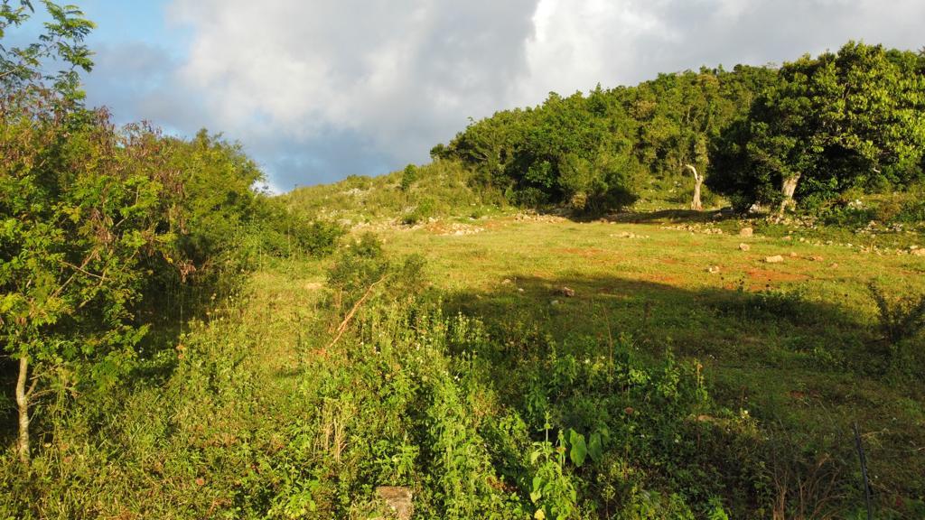 Third image of Lincoln, Mount Prospect in Lincoln, Manchester, Jamaica - property is For Sale