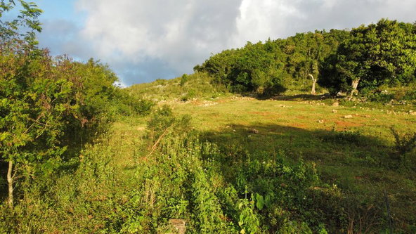 Third image of Lincoln, Mount Prospect in Lincoln, Manchester, Jamaica - property is For Sale