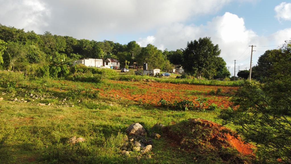 Fourth image of Lincoln, Mount Prospect in Lincoln, Manchester, Jamaica - property is For Sale