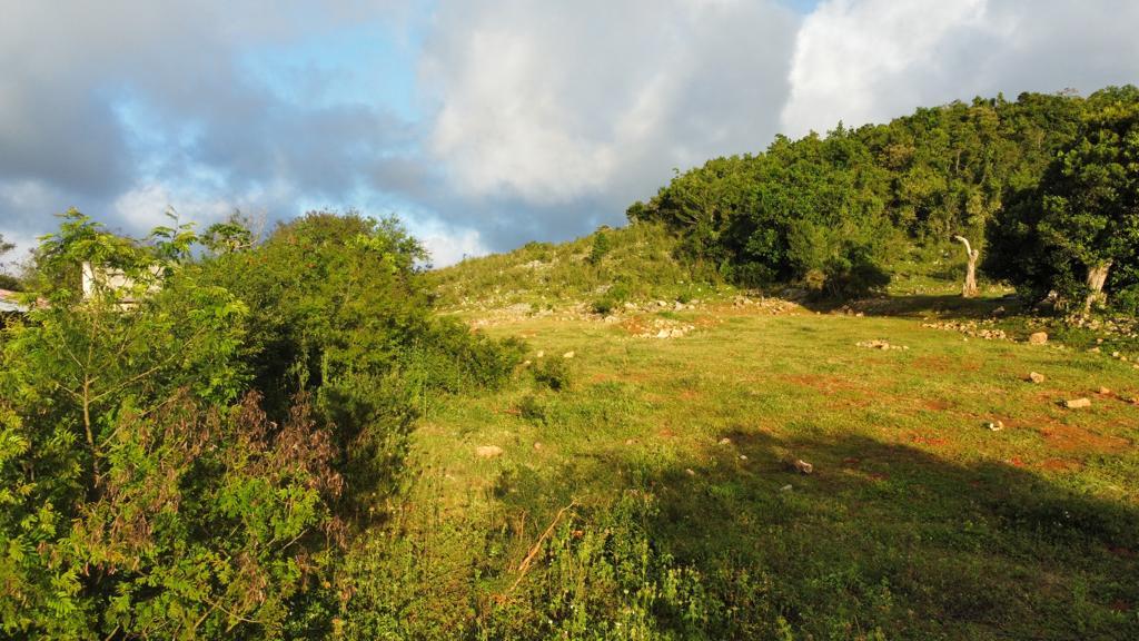Fifth image of Lincoln, Mount Prospect in Lincoln, Manchester, Jamaica - property is For Sale