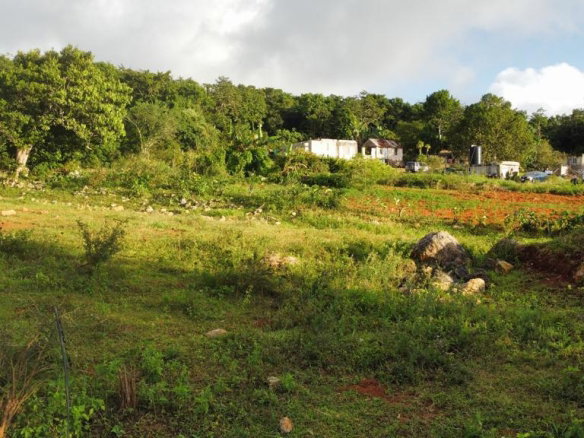 First image of Lincoln, Mount Prospect in Lincoln, Manchester, Jamaica - property is For Sale