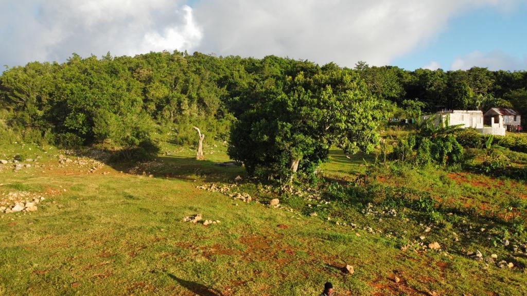 Seventh image of Lincoln, Mount Prospect in Lincoln, Manchester, Jamaica - property is For Sale