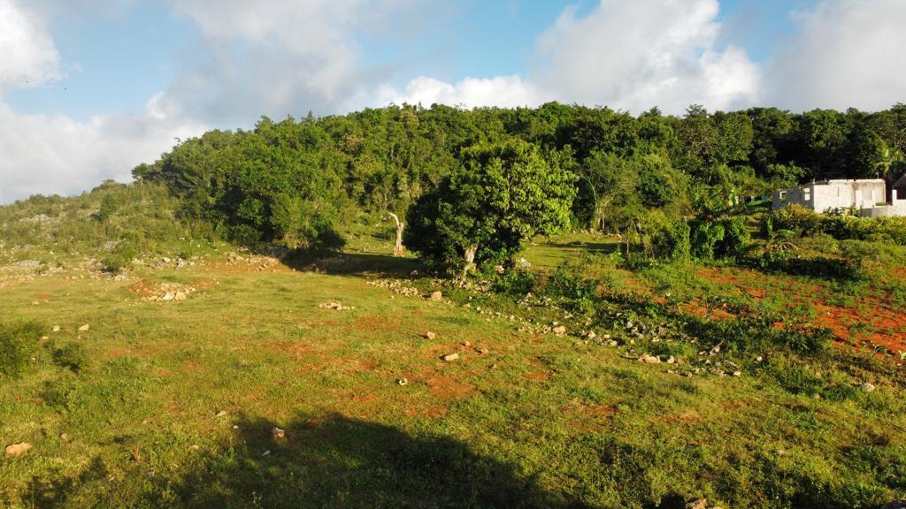Eighth image of Lincoln, Mount Prospect in Lincoln, Manchester, Jamaica - property is For Sale