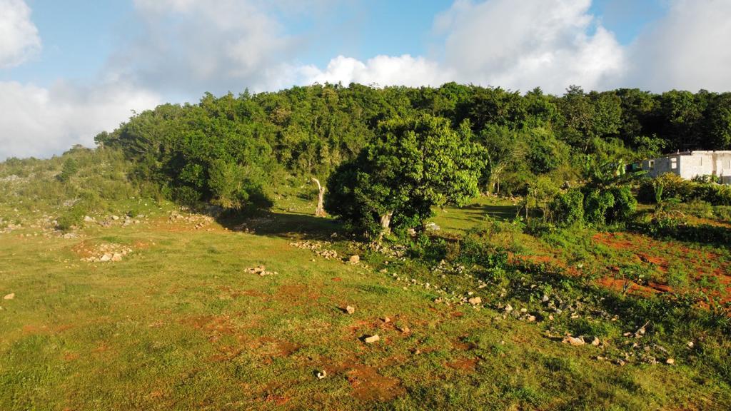 Ninth image of Lincoln, Mount Prospect in Lincoln, Manchester, Jamaica - property is For Sale