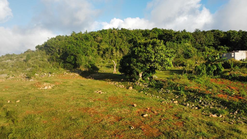 Tenth image of Lincoln, Mount Prospect in Lincoln, Manchester, Jamaica - property is For Sale