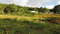 First image of Lincoln, Mount Prospect in Lincoln, Manchester, Jamaica - property is For Sale