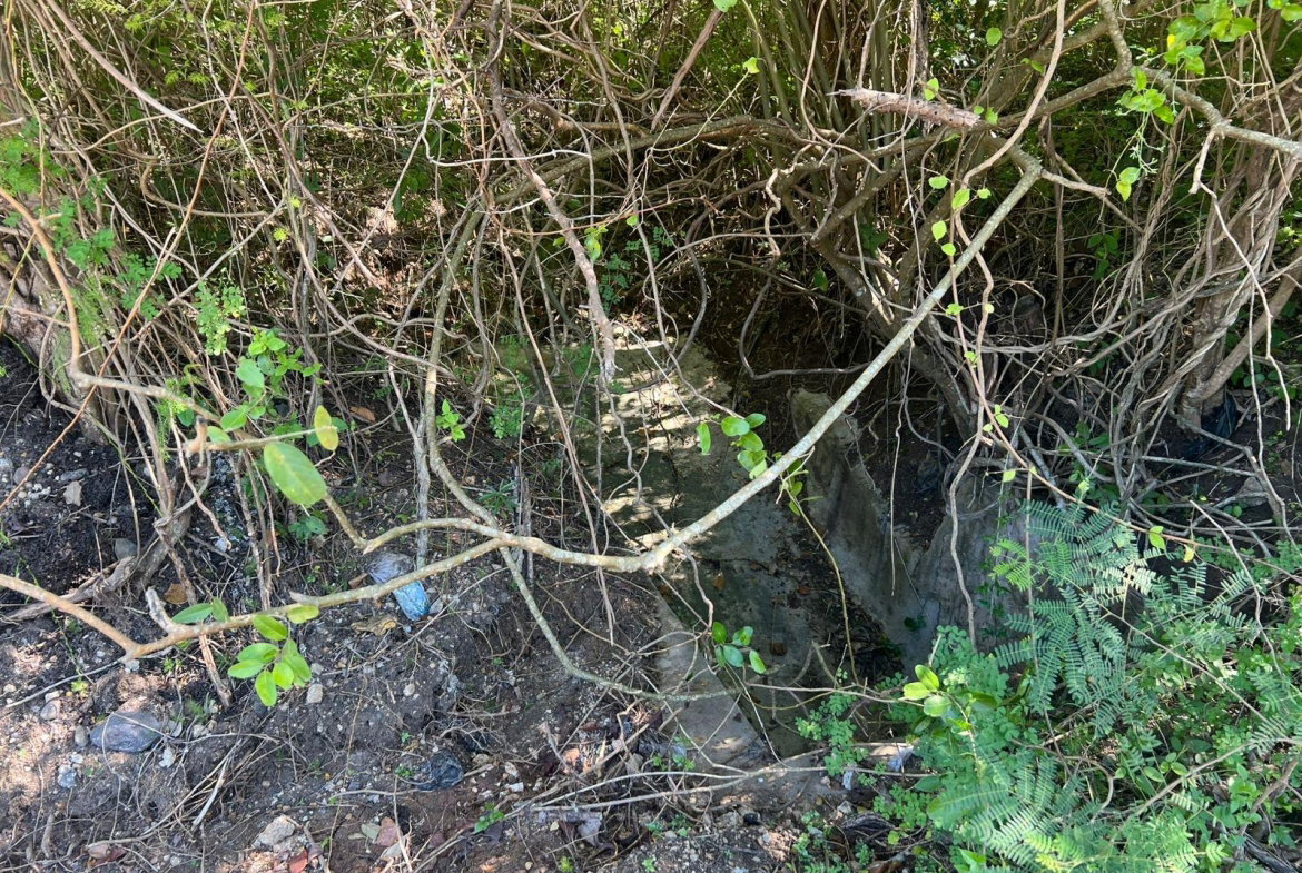 Second image of Sevens Plantation in May Pen, Clarendon, Jamaica - property is For Sale