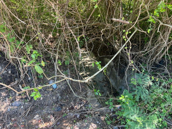 Second image of Sevens Plantation in May Pen, Clarendon, Jamaica - property is For Sale