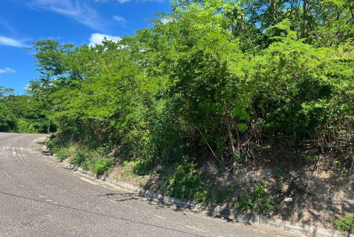 Third image of Sevens Plantation in May Pen, Clarendon, Jamaica - property is For Sale