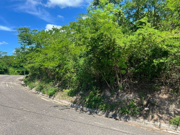 Third image of Sevens Plantation in May Pen, Clarendon, Jamaica - property is For Sale