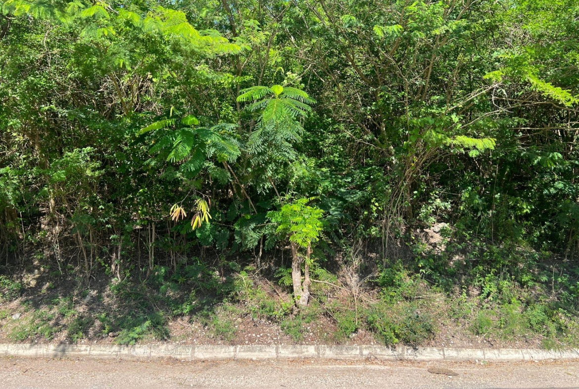 Fourth image of Sevens Plantation in May Pen, Clarendon, Jamaica - property is For Sale