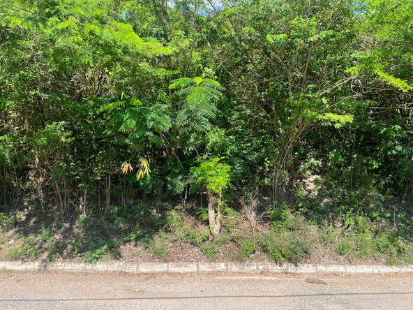 Fourth image of Sevens Plantation in May Pen, Clarendon, Jamaica - property is For Sale