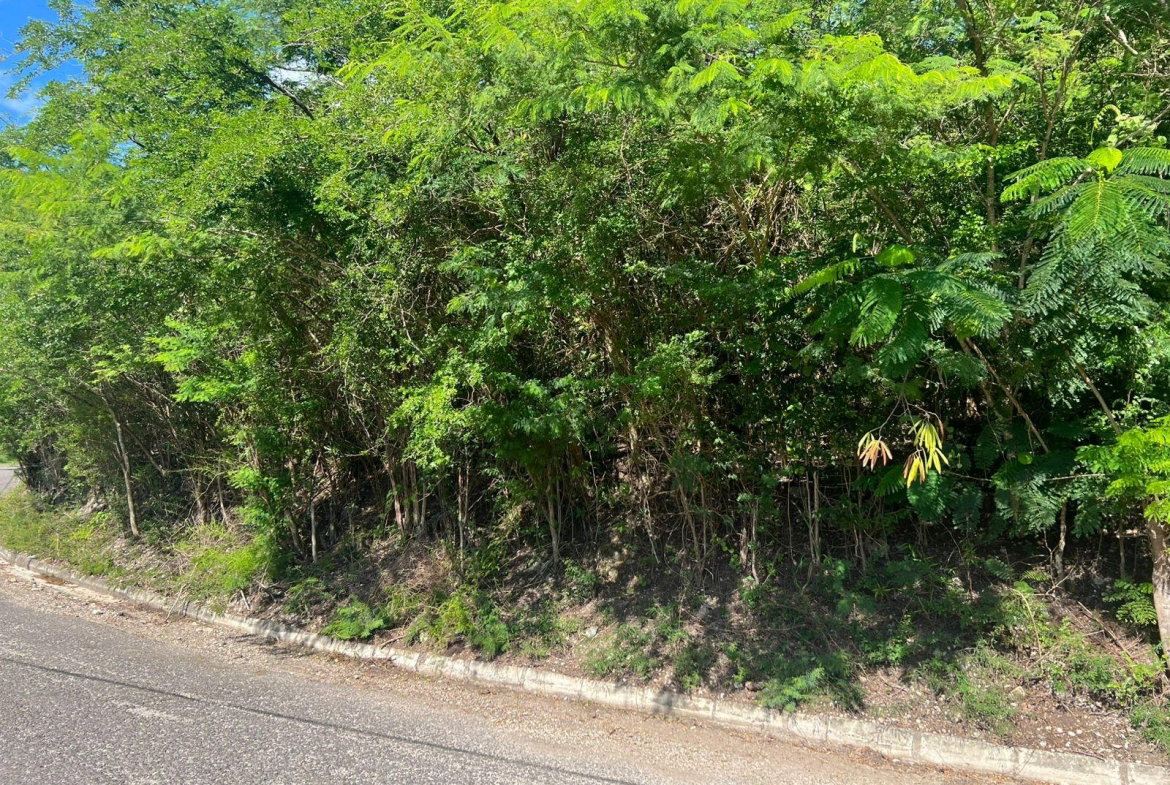 Fifth image of Sevens Plantation in May Pen, Clarendon, Jamaica - property is For Sale