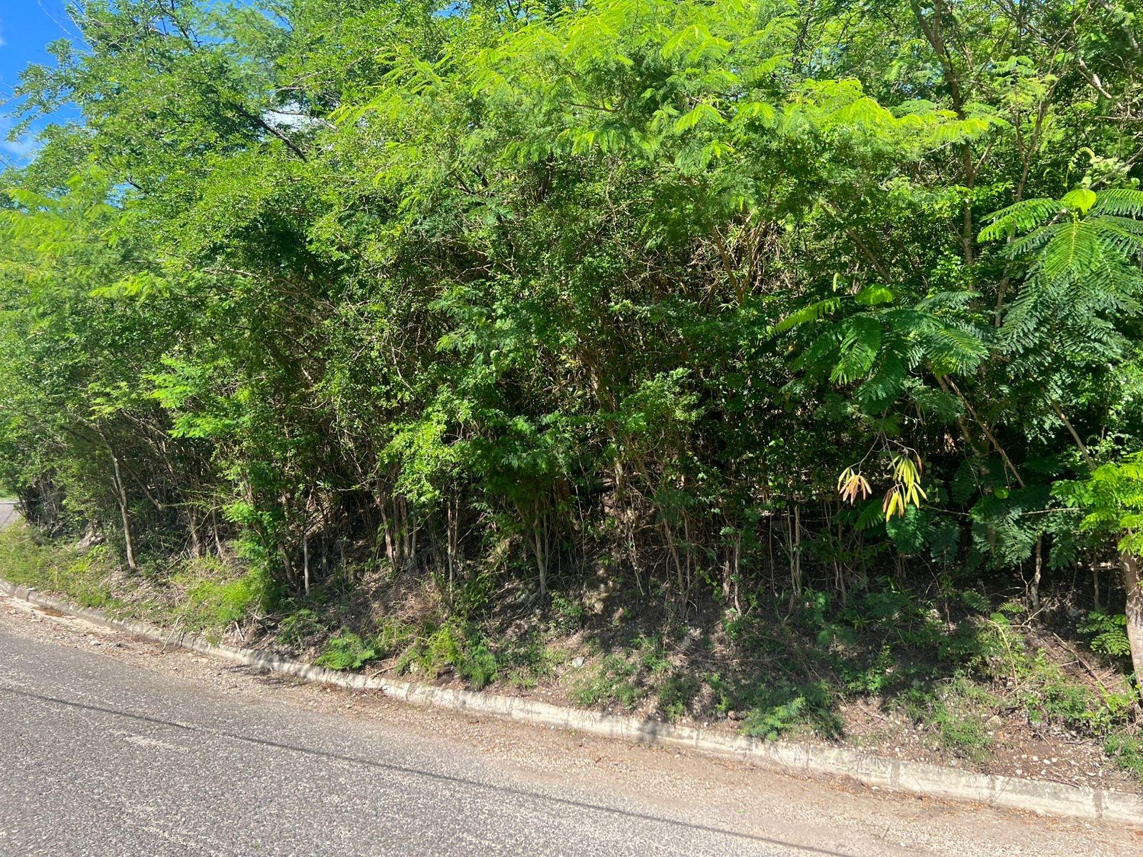 Fifth image of Sevens Plantation in May Pen, Clarendon, Jamaica - property is For Sale