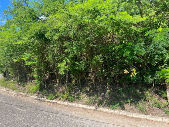 Fifth image of Sevens Plantation in May Pen, Clarendon, Jamaica - property is For Sale