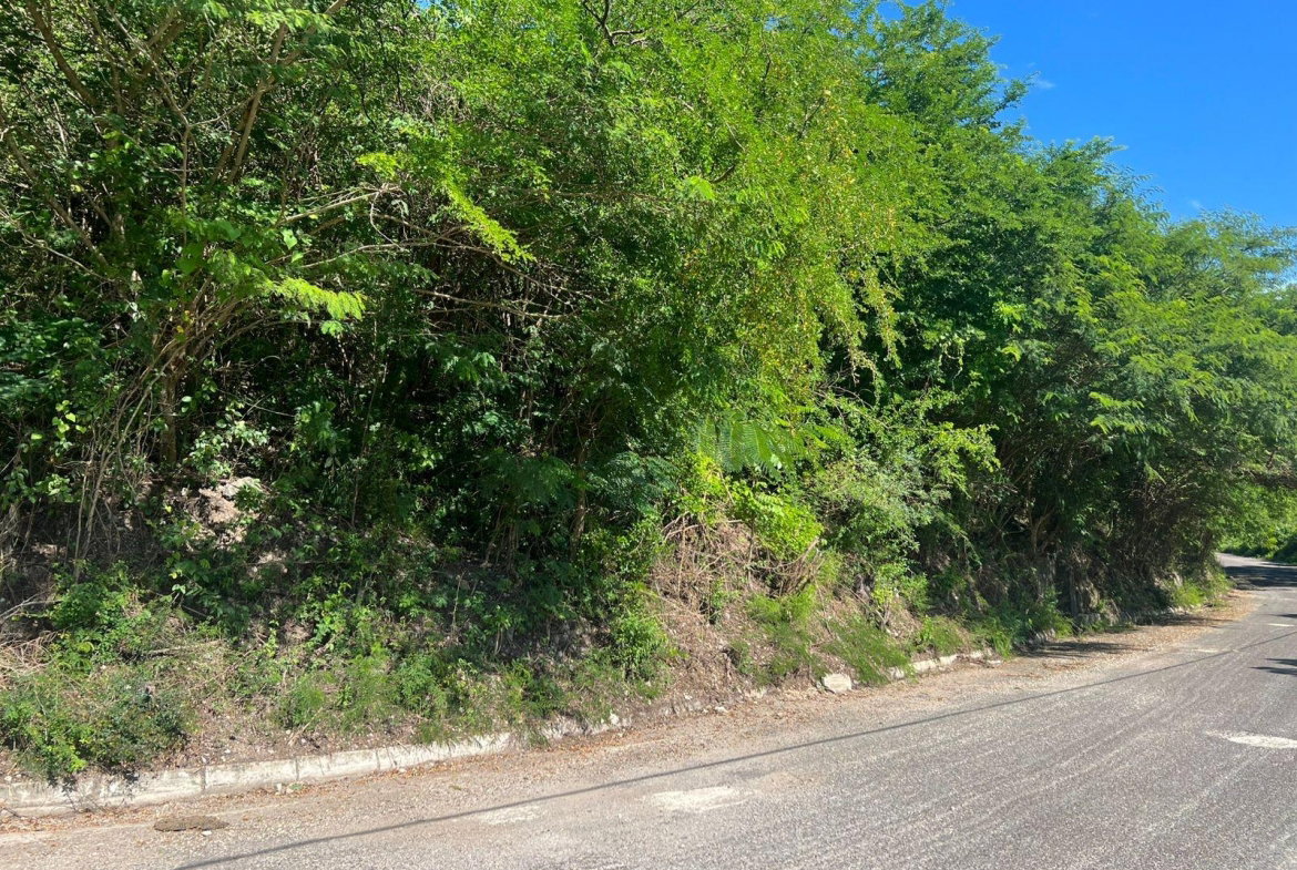 Seventh image of Sevens Plantation in May Pen, Clarendon, Jamaica - property is For Sale