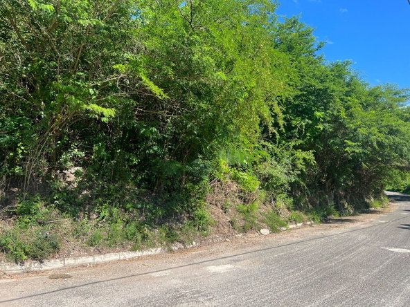 Seventh image of Sevens Plantation in May Pen, Clarendon, Jamaica - property is For Sale