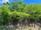 First image of Sevens Plantation in May Pen, Clarendon, Jamaica - property is For Sale